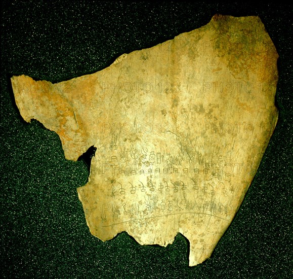 Oracle bone