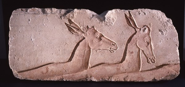 Incised block (talatat) from an Amarna temple