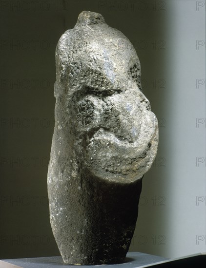 Janus headed stone mauri, resting place of the life force of Puketapu pa