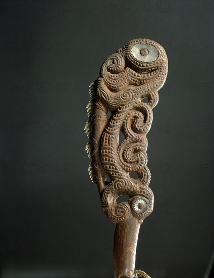 A maripi tuatini, shark tooth knife, which was collected on Captain Cooks first voyage in 1769, at Queen Charlotte Sound