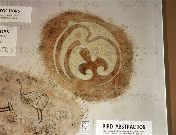 Drawing in charcoal on rock, depicting a bird, probably a moa, in embryo