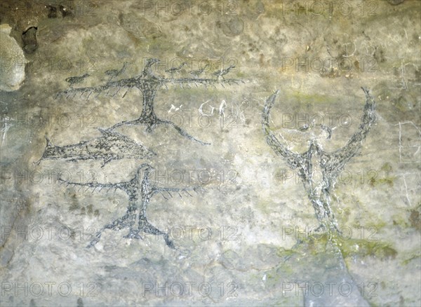 An early Maori rock drawing, from a limestone shelter, of a fish with several bird like figures