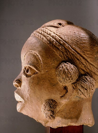 Head