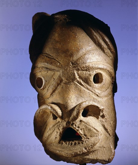 Head