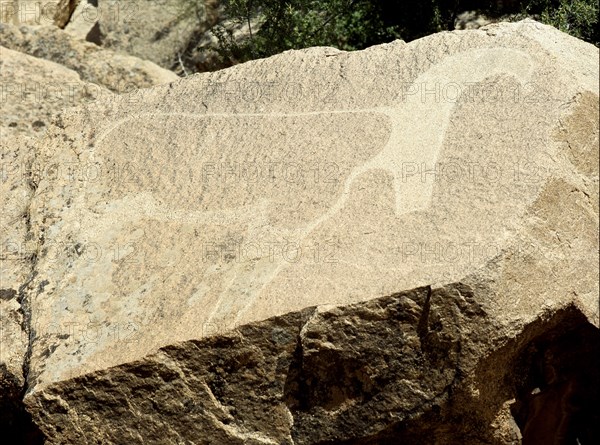Rock carving of a gazelle