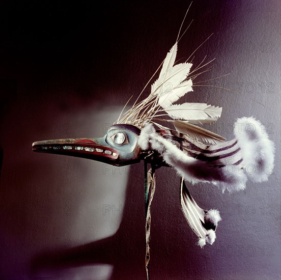 Mask in the form of a mosquito