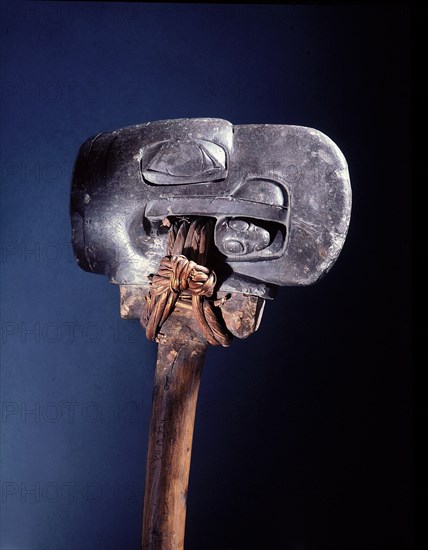 Hammer head