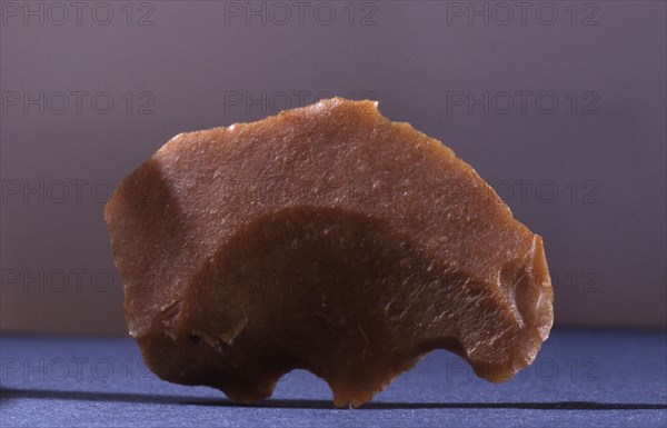 Flint, may have been modified to suggest the form of a bear