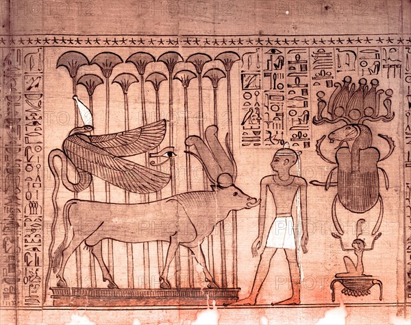 Vignette from the Book of the Dead of Tanafer