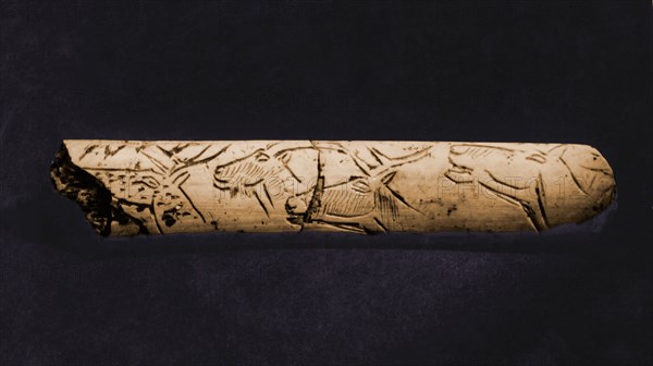 Reindeer antler incised with figures of reindeer and ibex