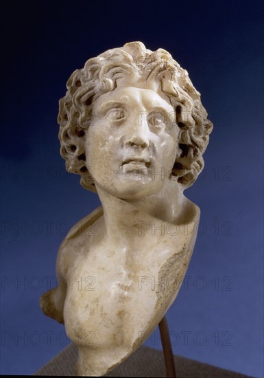 Bust of Alexander the Great