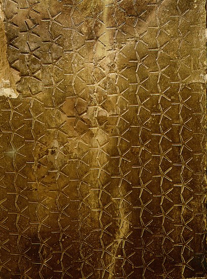 The star covered ceiling of the interior of the pyramid of Teti at Saqqara