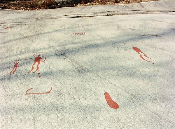 Vitlycke is one of the largest surfaces of rock carvings in the whole of Scandinavia