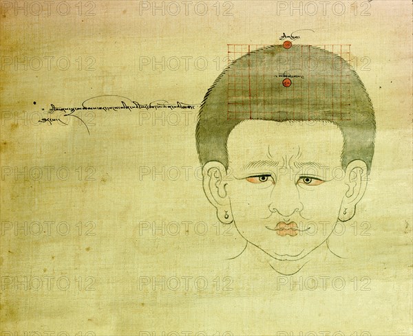A medical thangka from a version of the commentary on the ancient Four Tantras, the fundamental treatise of Tibetan medicine