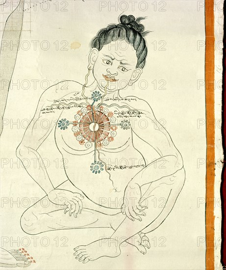 A medical thangka from a version of the commentary on the ancient Four Tantras, the fundamental treatise of Tibetan medicine