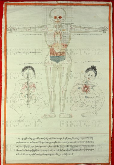 A medical thangka from a version of the commentary on the ancient Four Tantras, the fundamental treatise of Tibetan medicine