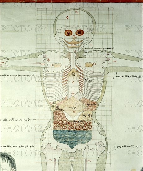 Detail of a medical thangka from a version of the commentary on the ancient Four Tantras, the fundamental treatise of Tibetan medicine