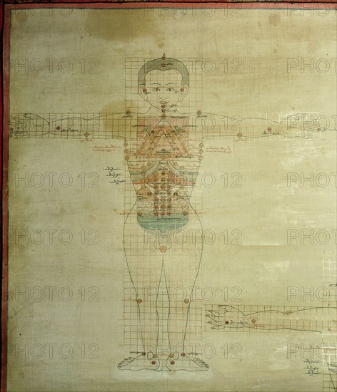 Detail of a medical thangka from a version of the commentary on the ancient Four Tantras, the fundamental treatise of Tibetan medicine