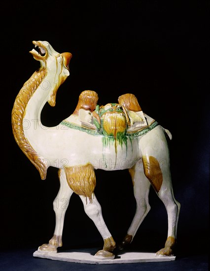 Almost all the cargo that gave the fabled Silk Road its name was borne by the camel