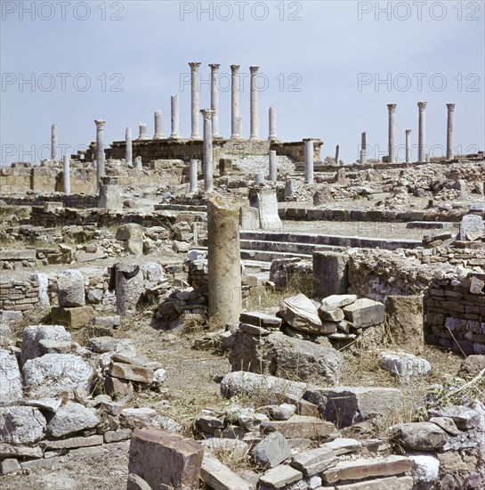 The Roman ruins at Thuburba Majus
