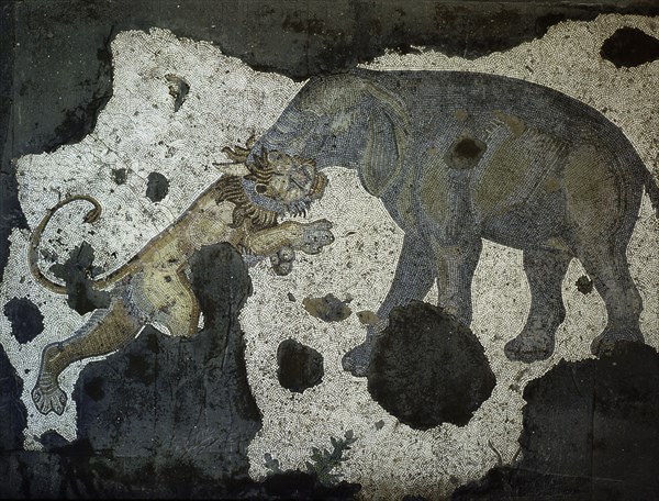 A mosaic depicting an elephant attacking a lion which is thought to be from The Great Palace of the Emperors in Constantinople