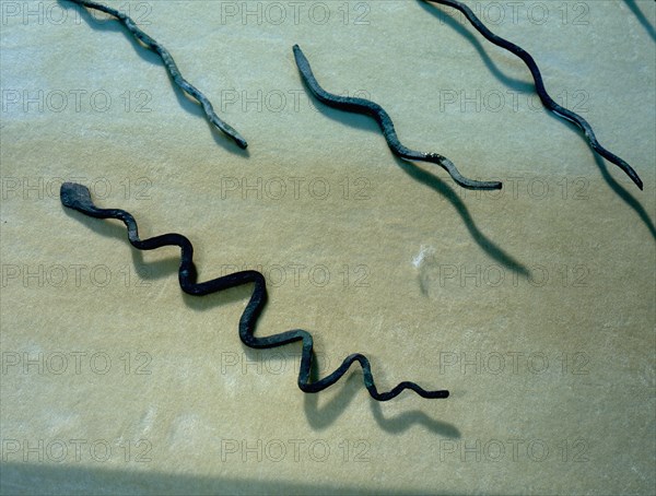 Small bronze snakes recovered from the Mount of Serpents, most likely a place of worship at al Qusais