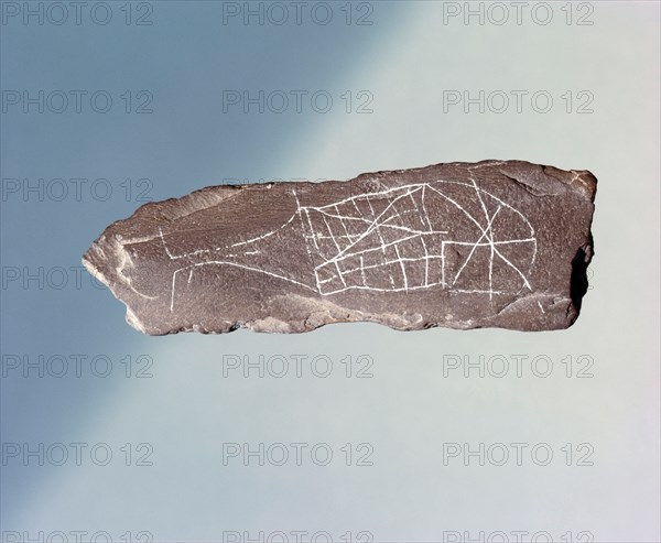 Rock engraved with a figure of a whale