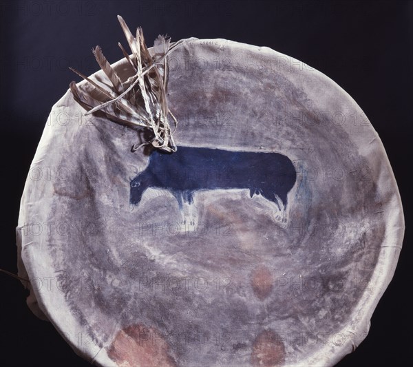 Shield made from buffalo hide which was owned by the the grandfather of Cut the Bears Ears