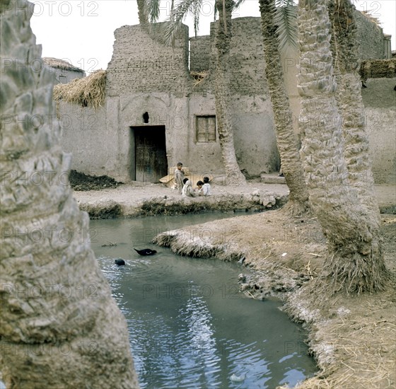 Fayum Oasis