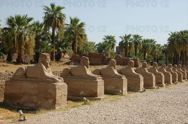 View of the Avenue of Sphinxes added to the temple by the pharaoh Nectanebo I to connect Luxor to Karnak