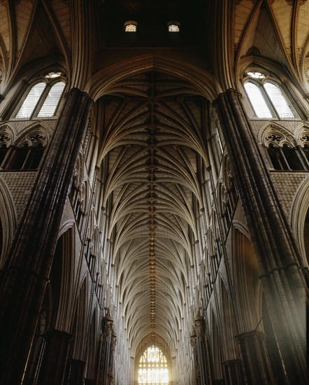 The richly ornamented Gothic vault of the nave towards the west