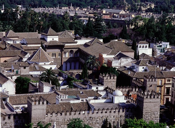 The Alcazar of Seville