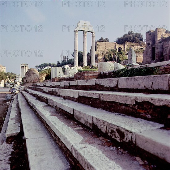 The Roman Forum