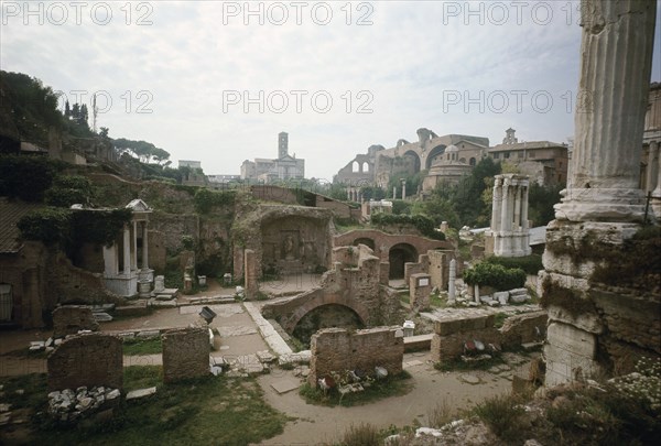 The Roman Forum