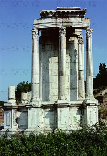 The Roman Forum