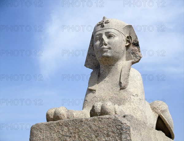 One of a pair of sphinxes in pink Aswan granite set up at the foot of the column known as "Pompey's Pillar", after they were found nearby in 1906