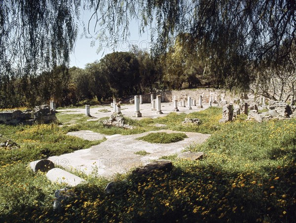 Ruins of Roman Carthage