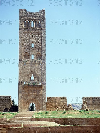 The minaret of the ruined mosque of al-Mansura