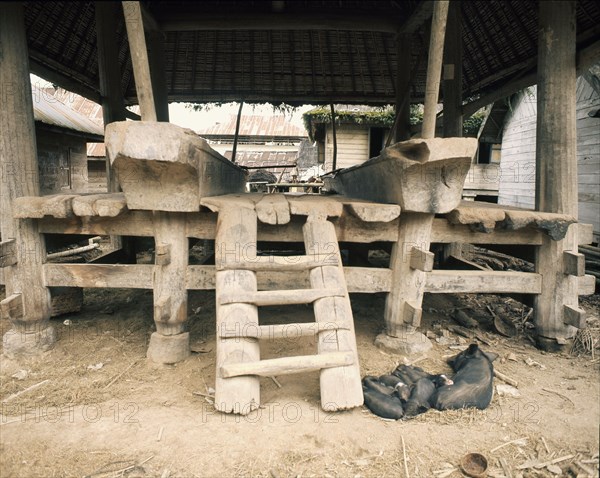 Similar in design to the houses, Toba granaries have a large space within the roof to store the harvest, while the open area beneath is a platform on which women gather to grind rice