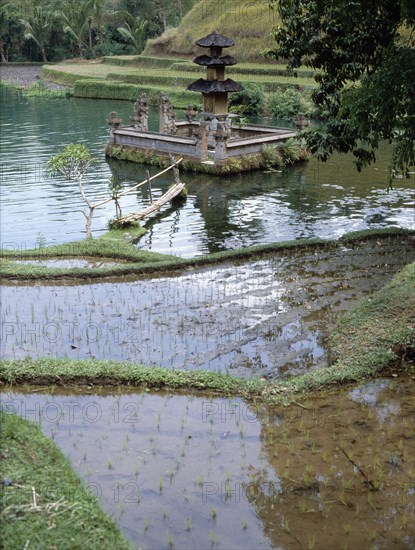 Shrine to Dewi Danu, the lake goddess, in a pond surrounded by flooded rice fields