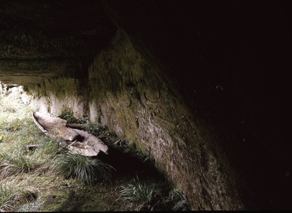 Kaingaroa caves