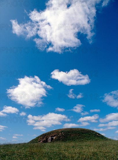 The Hostage's mound at Tara Hill, Co