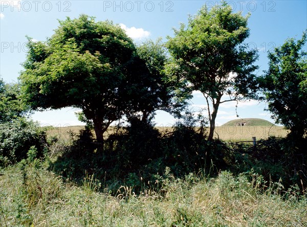 The Hostage's mound at Tara Hill, Co