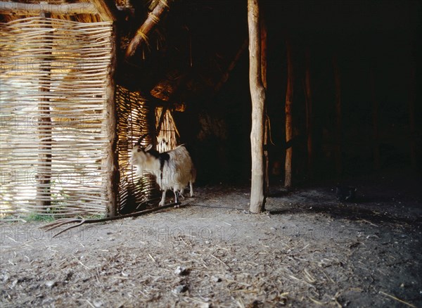 The experimental farm of Little Butser in Hampshire