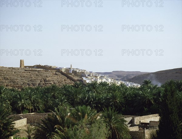 One of the oases of the Mzab valley