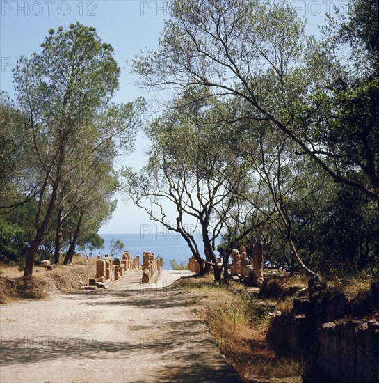 The ruins of Tipasa, a small Roman town in North Africa which flourished during the 3rd century AD