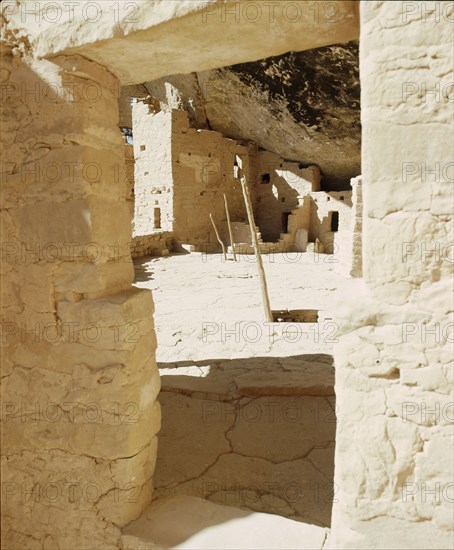 The Cliff Palace at Mesa Verde