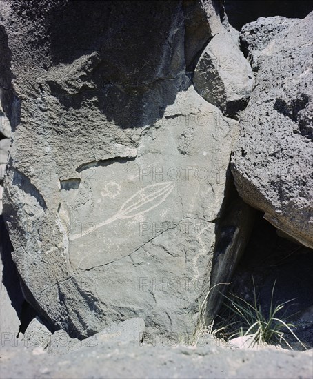 The Rio Grande petroglyphs