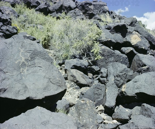 The Rio Grande petroglyphs