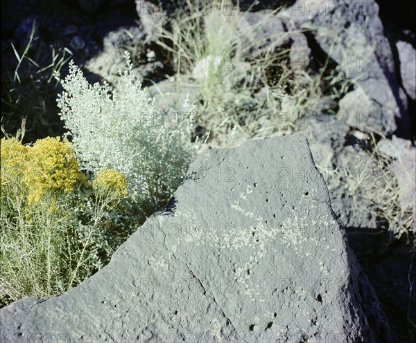 The Rio Grande petroglyphs